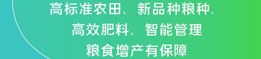 0.png 0.png
