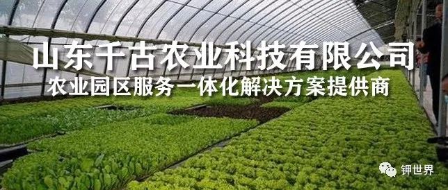 钾肥与绿色生态农业的握手
