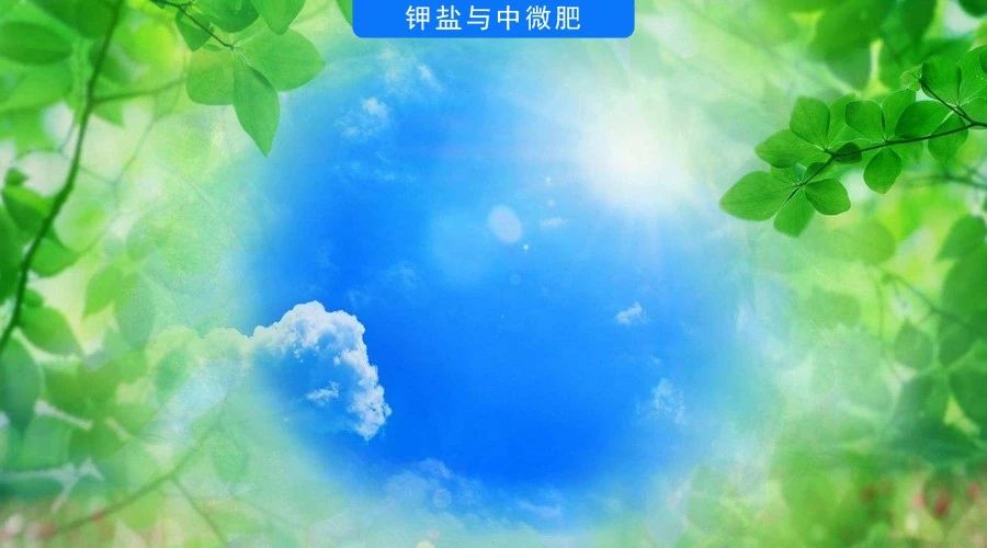 全球农作物价格大跌，粮食危机解除？