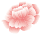 mudan.png mudan.png
