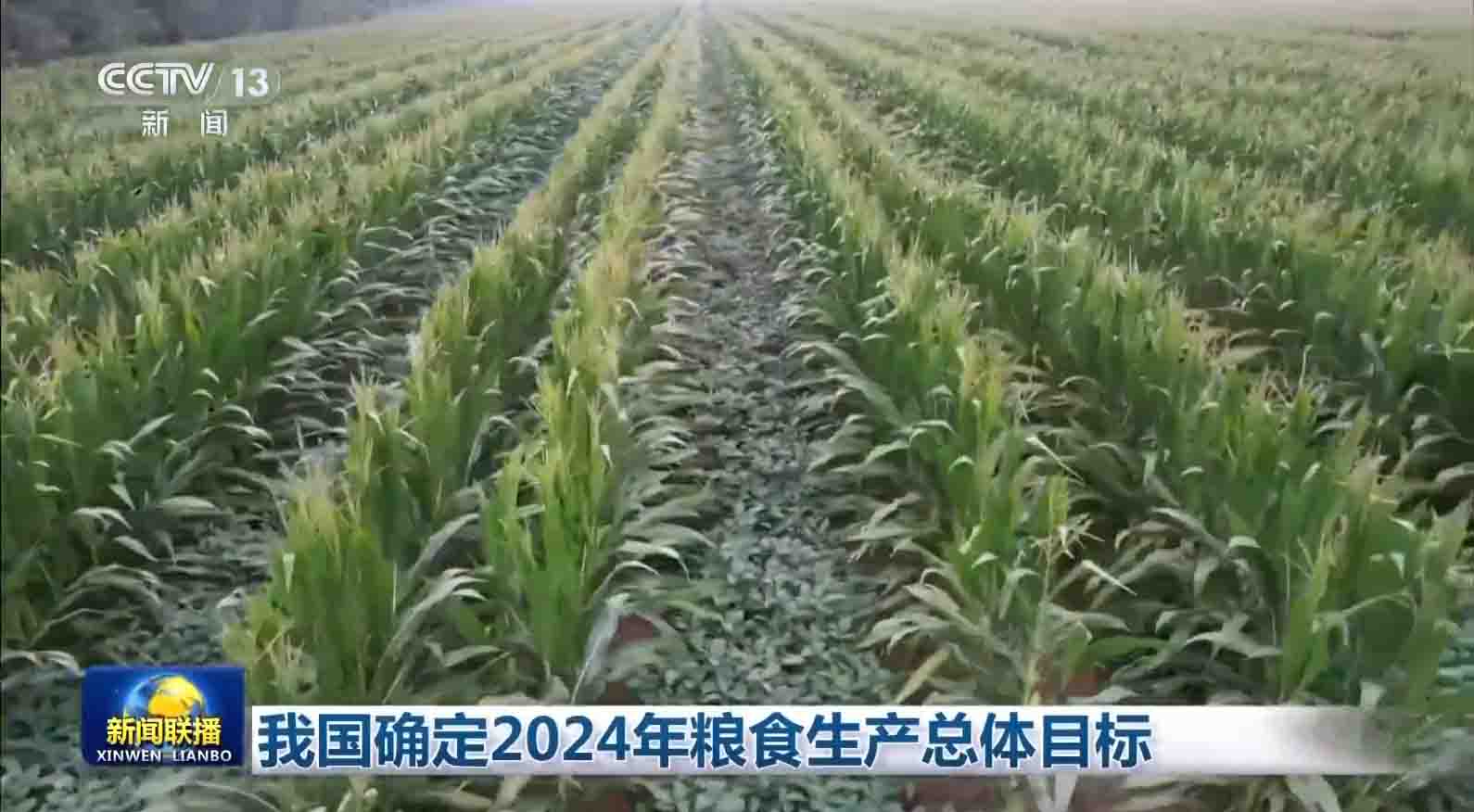 2024粮食生产总目标确定，新增玉米、小麦、大豆各100个提单产推进县！