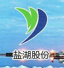 上海盐湖东信新材料科技有限公司