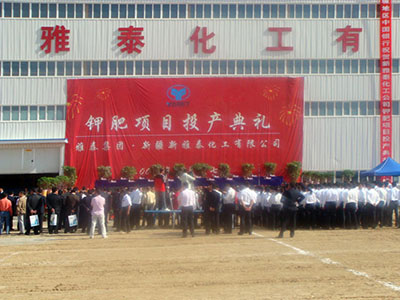 新疆新雅泰化工有限公司