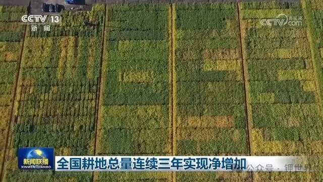 全国耕地总量连续三年实现净增加/附国土三调主要数据