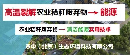 南宁会议报告回放——王红军：高温裂解农业秸秆废弃物转化清洁能源