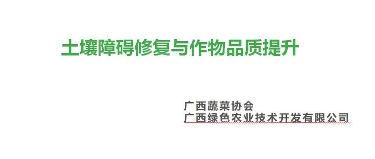 【嘉宾报告】赵汉卿：土壤障碍修复与作物品质提升