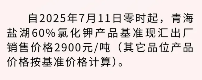 640.webp (2).png 640.webp (2).png