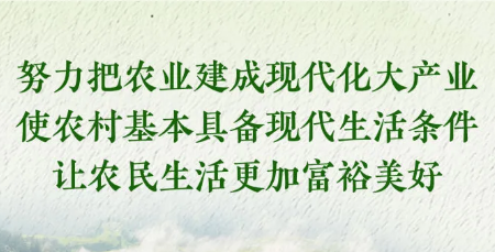 2026年一号文件核心要点/附全文